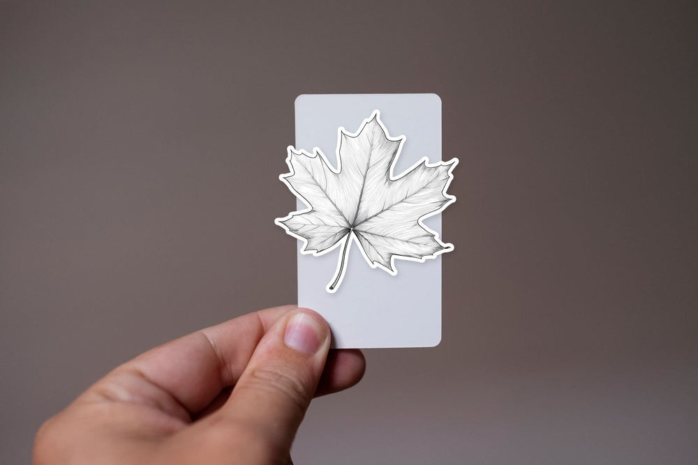 Simple Maple Leaf Outline Sticker