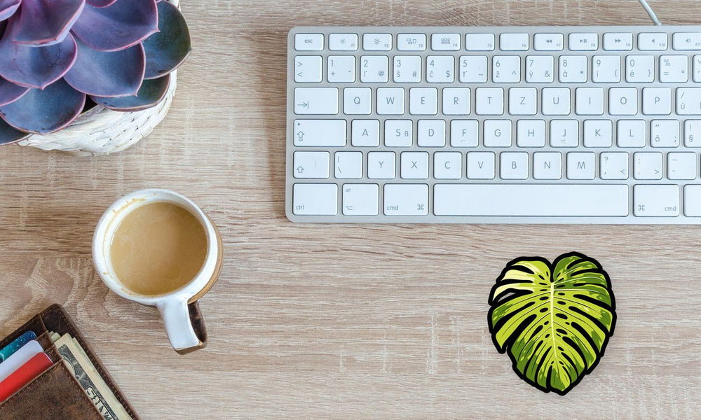 Monstera Leaf Aesthetic Sticker