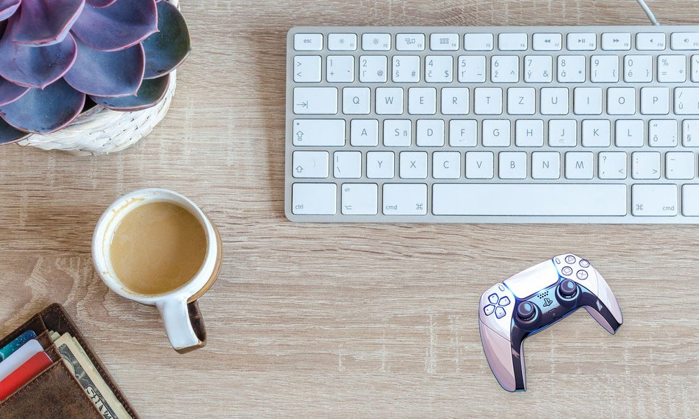 Ps5 Controller White Sticker