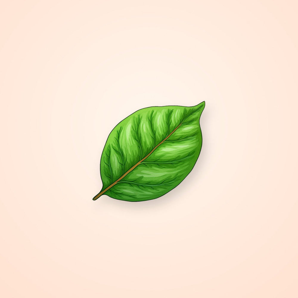 Green Leaf Sticker