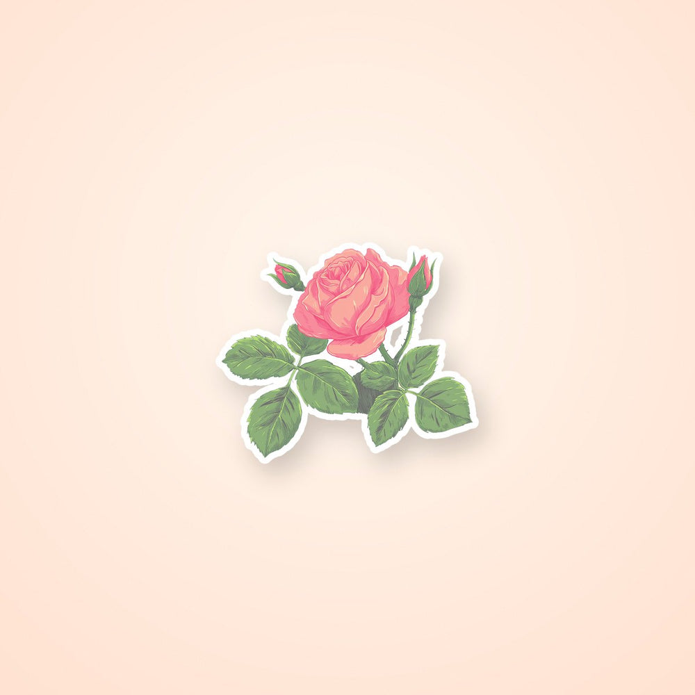 Blooming Pink Rose Vintage Floral Art Sticker