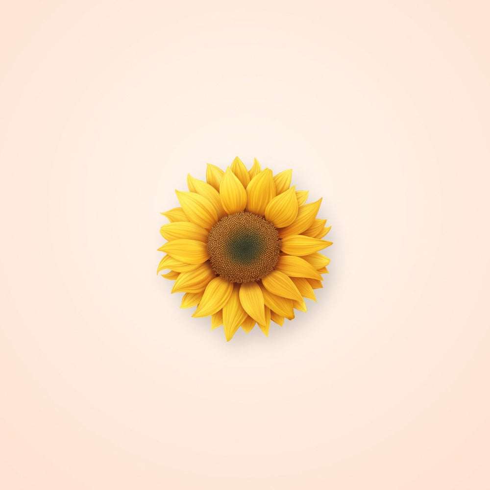 Bright Sunflower Clipart