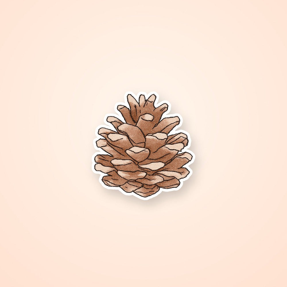 Pinecone Winter Nature Sticker