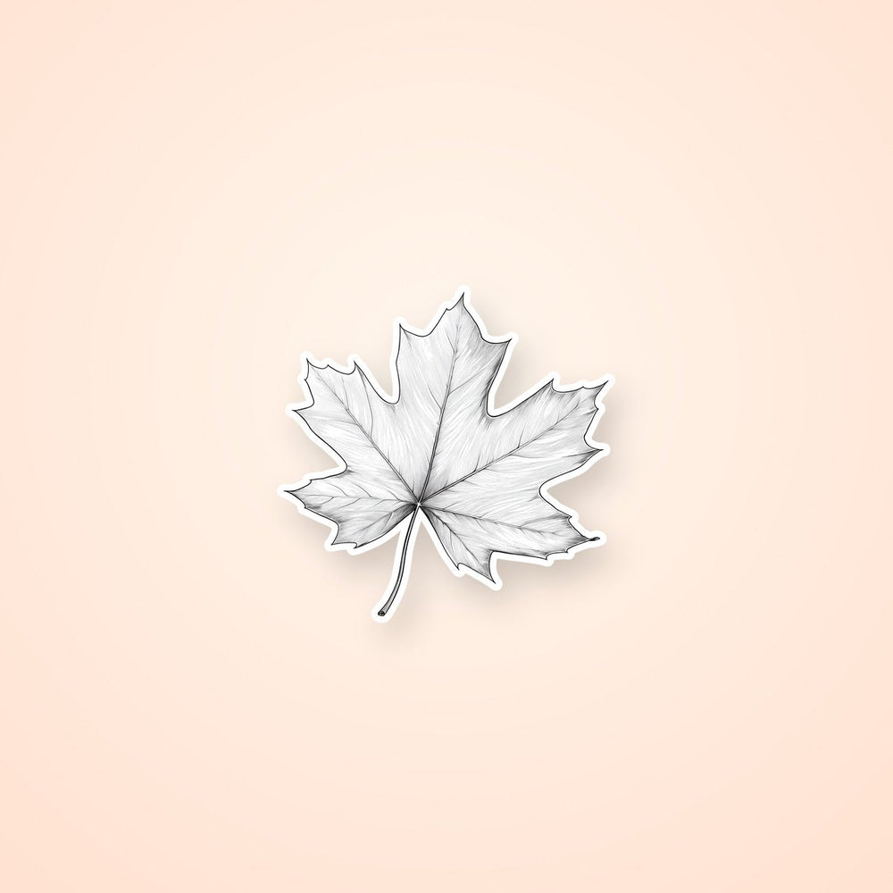Simple Maple Leaf Outline Sticker