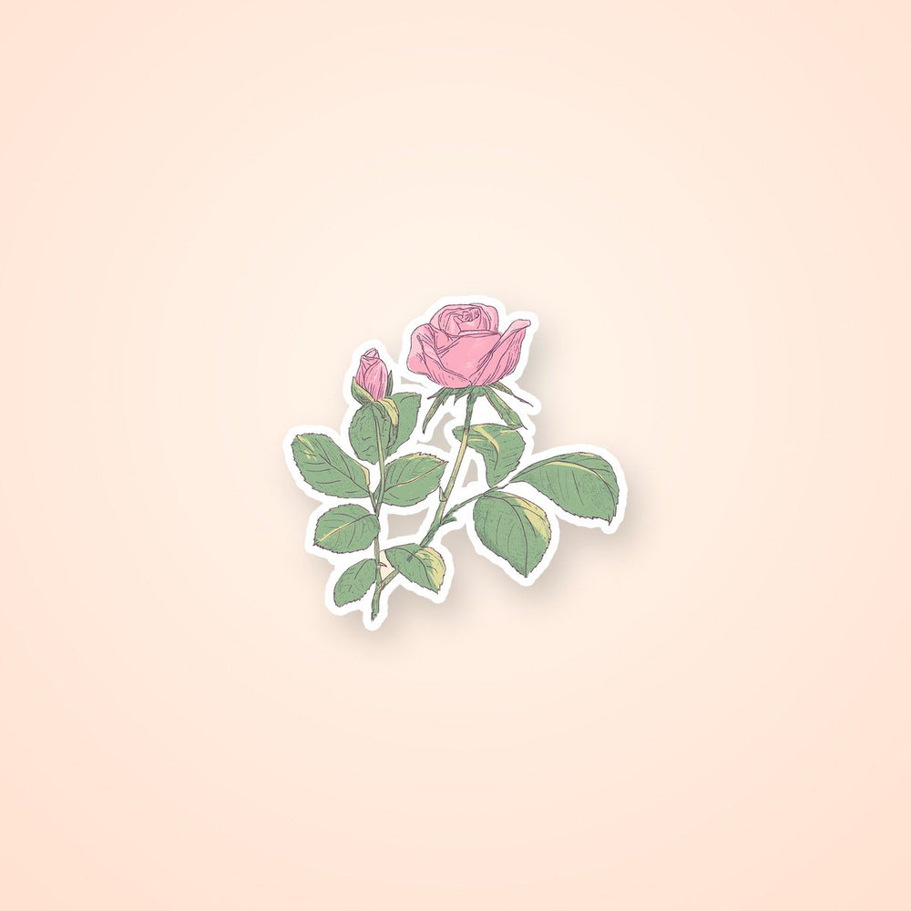 Vintage Pink Rose Botanical Sticker