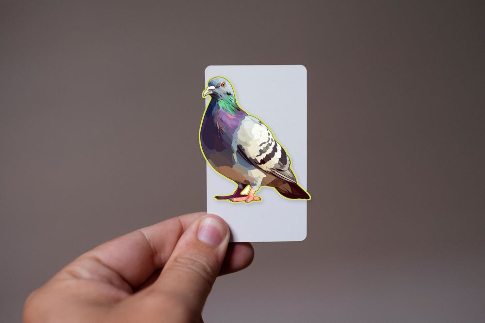 Pigeon Bird Sticker
