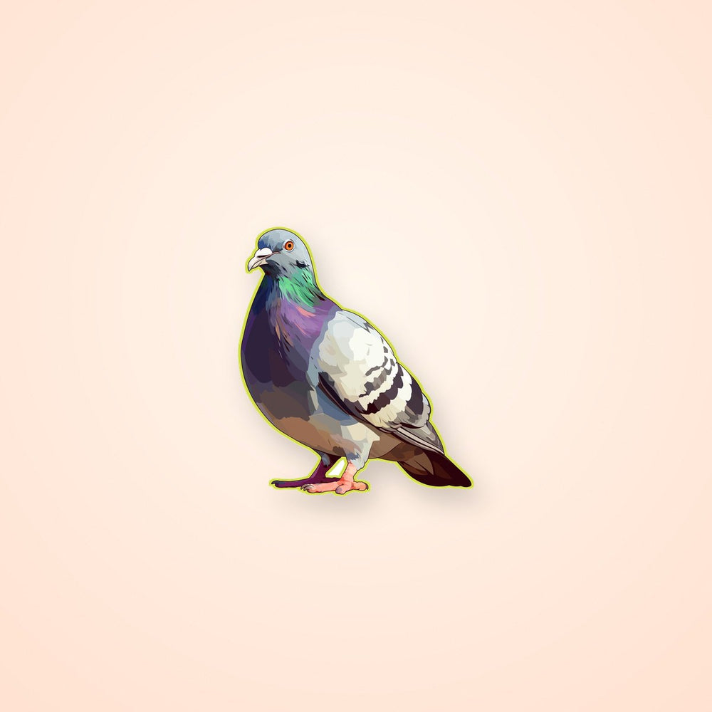 Pigeon Bird Sticker