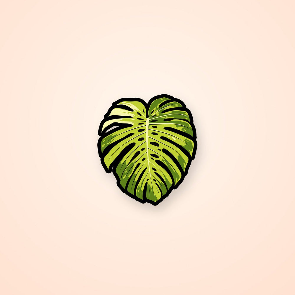 Monstera Leaf Aesthetic Sticker
