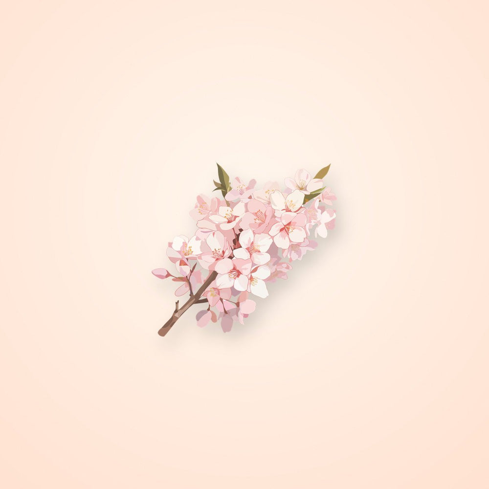 Cherry Blossom Branch Clipart