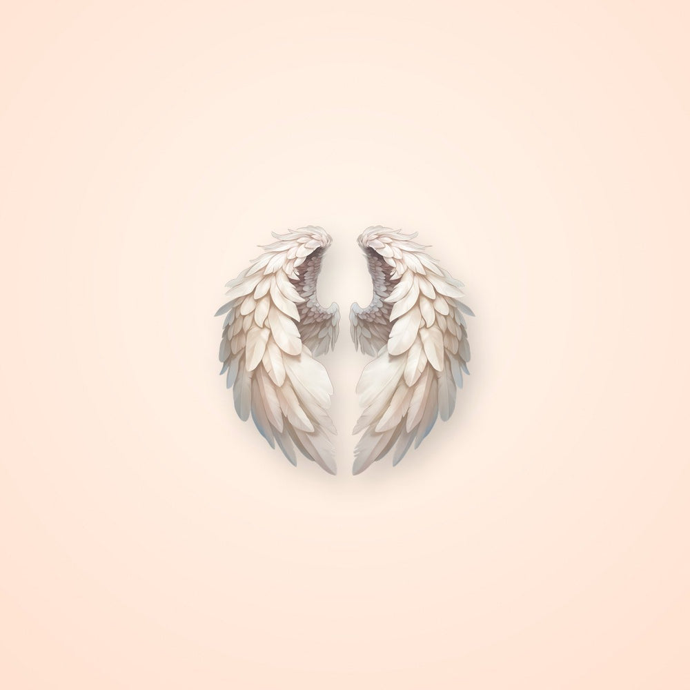 Angel Wings Feathery White Clipart